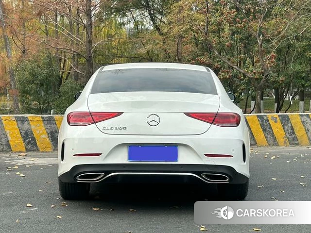 Mercedes-Benz CLS id 4254675 из Китая 16