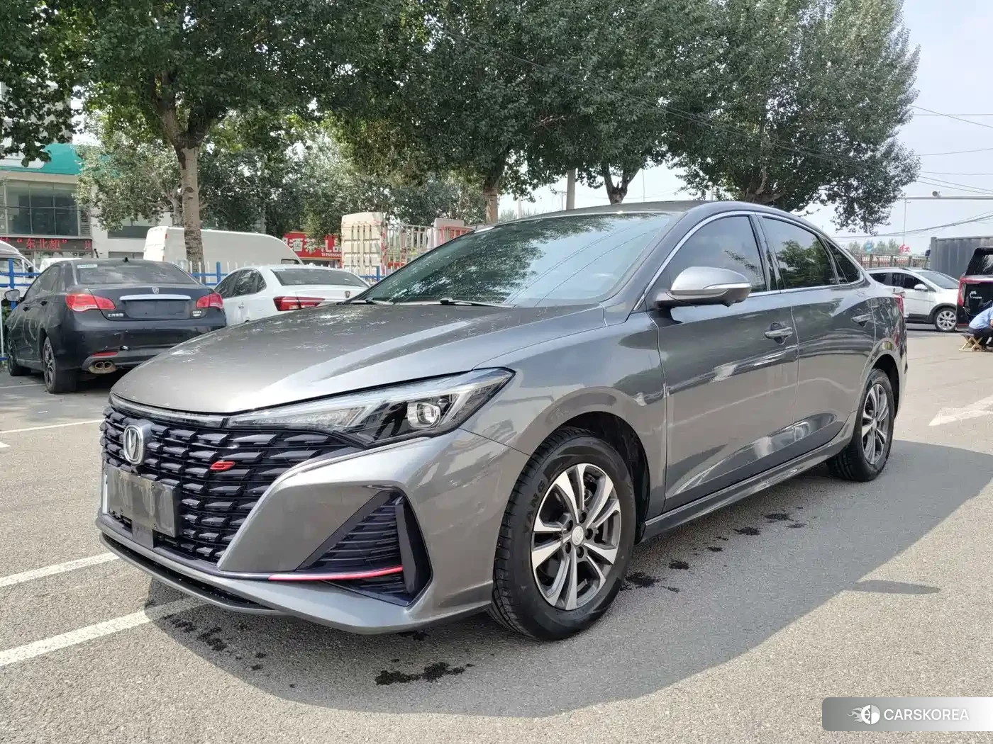 Chang'an Yidong 2023 Silver/gray из Китая, фото 5