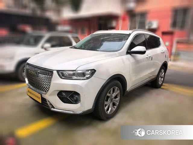 Haval H6 2020 Белый из Китая, фото 5
