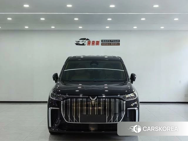 Lan Tu Dreamer EV 2023 Черный из Китая, фото 5