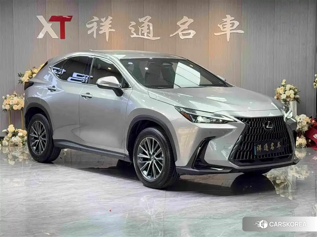 Lexus NX id 4628303 из Китая 18