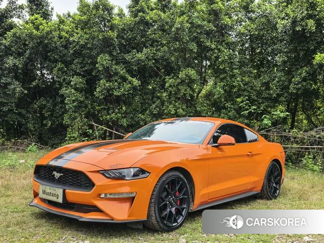 Ford Mustang id 4392267 из Китая 8