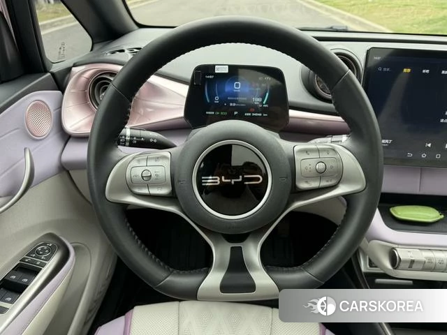 BYD dolphin id 4211195 из Китая 21