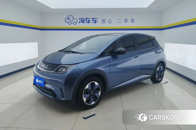 BYD dolphin id 3908231 из Китая 12