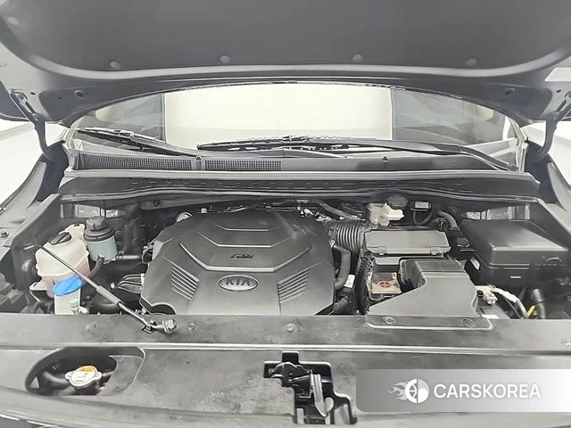 Kia The New Carnival id 4520211 из Кореи 14