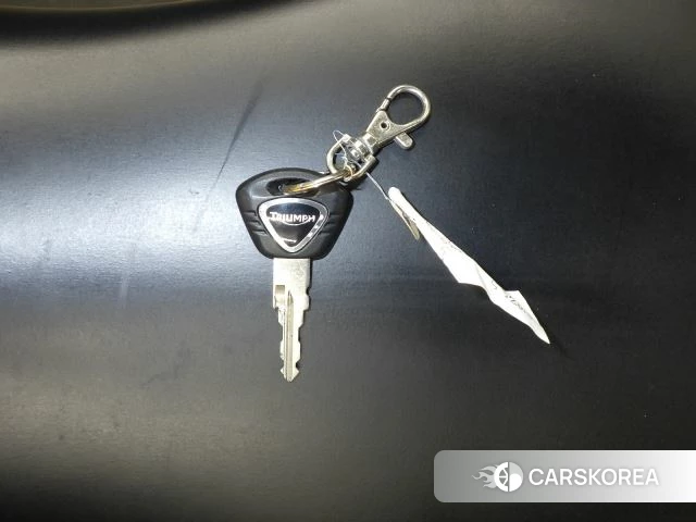 Triumph DAYTONA 675SE id 3946627 из Японии 27