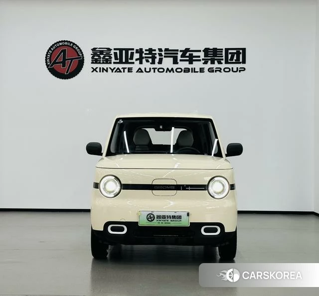 Geely Galaxy panda id 4210342 из Китая 16