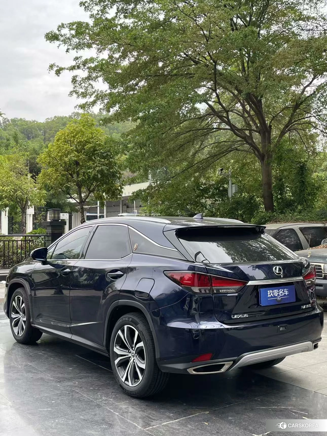 Lexus RX 2020 Синий из Китая, фото 5