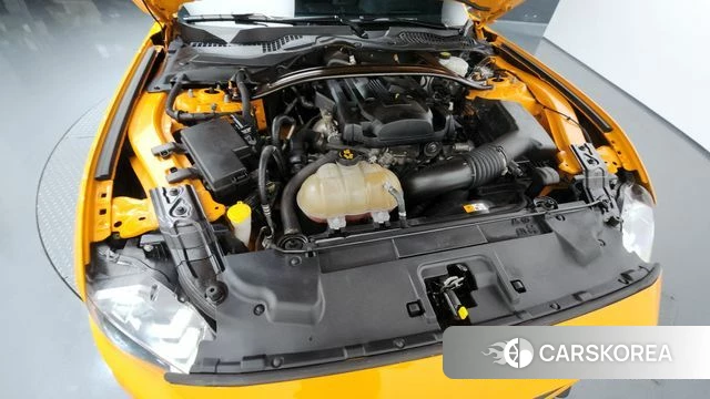 Ford Mustang id 3834965 из Кореи 15