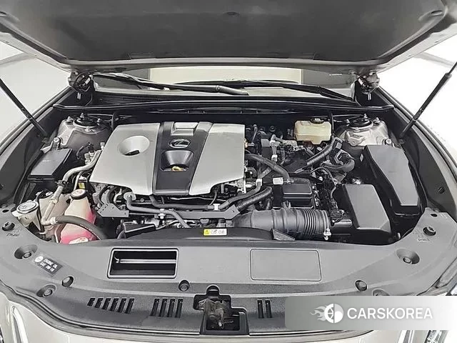 Lexus ES300h 7th generation 2020 Цвет тростника из Кореи, фото 5