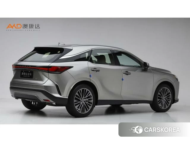 Lexus RX 2023 Серебристо-серый из Китая, фото 5