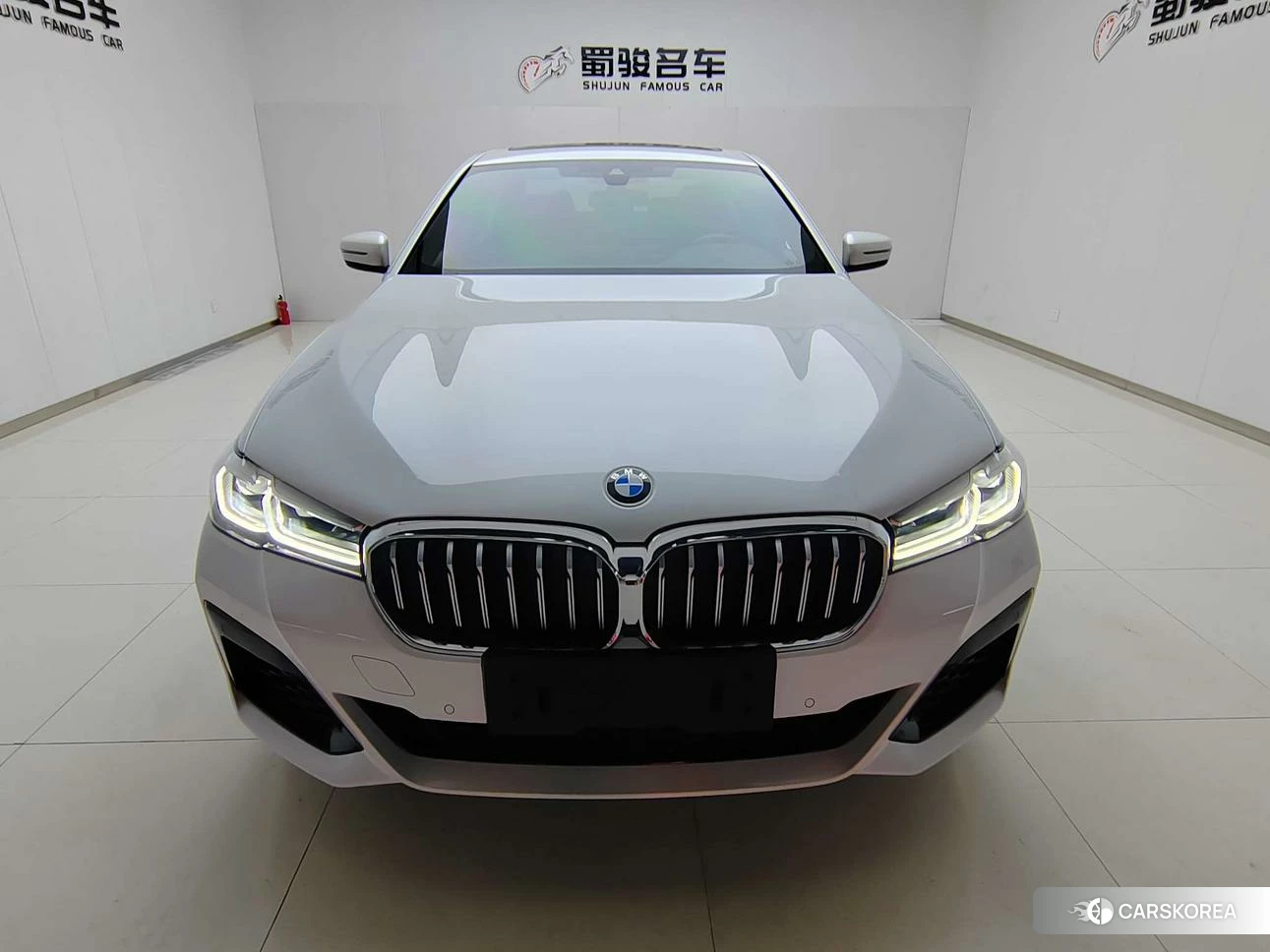BMW 5 series PHEV 2020 Белый из Китая, фото 6