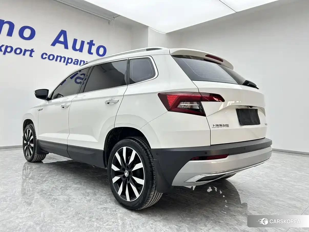 Skoda Karoq id 4583808 из Китая 15