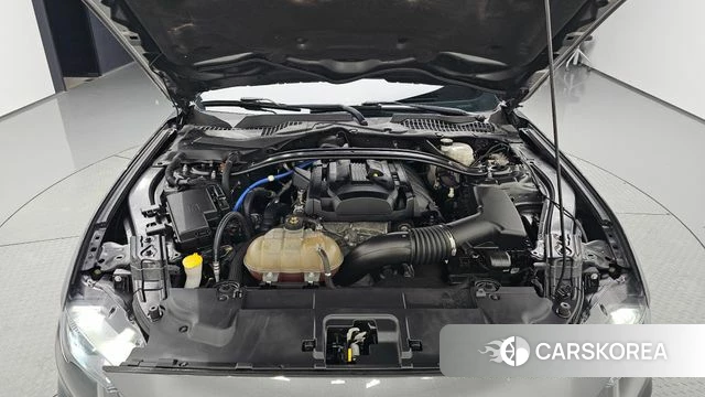 Ford Mustang id 3801314 из Кореи 15