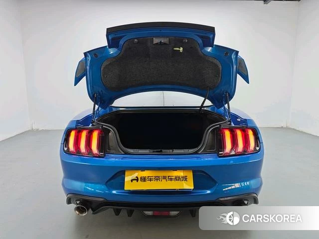 Ford Mustang id 4374579 из Китая 15