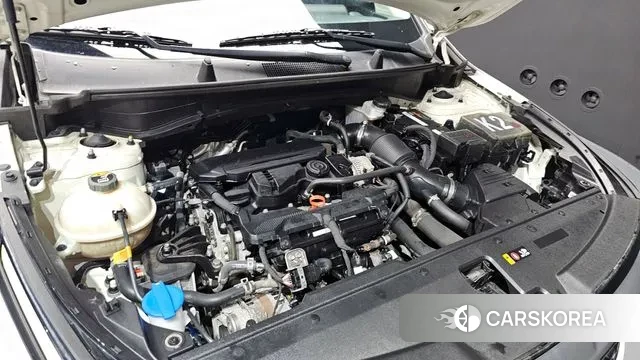 Kia Sportage 5th Generation id 3468528 из Кореи 15