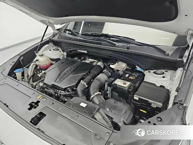 Hyundai The New Santa Fe id 4943123 из Кореи 13