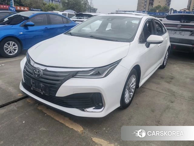 Toyota Asian lion id 4261027 из Китая 9