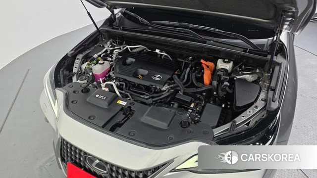 Lexus NX450h + 2nd generation id 4561145 из Кореи 29