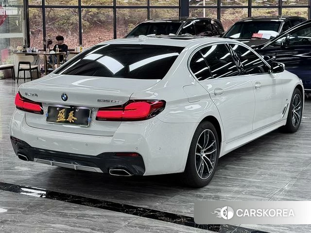 BMW 5 series PHEV id 4253857 из Китая 13