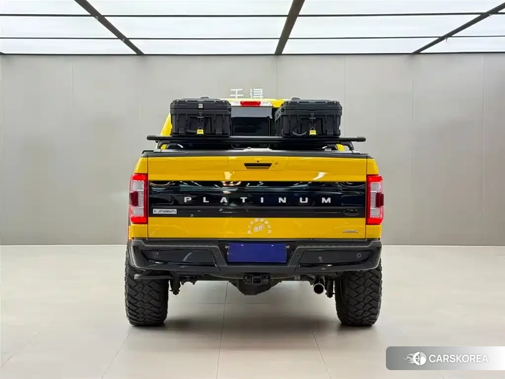 Ford F-150 id 4629701 из Китая 13