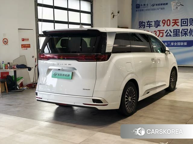 Denza D9 DM 2023 Белый из Китая, фото 5