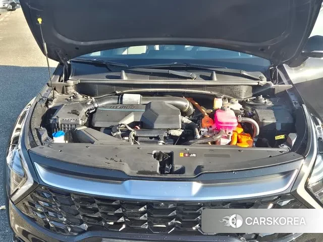 Kia Sportage 5th Generation Hybrid id 3437605 из Кореи 15