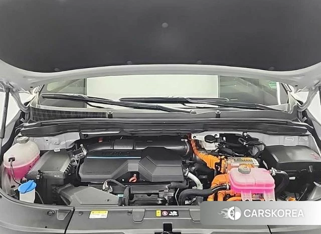 Kia The New Carnival 4th Generation id 4432878 из Кореи 15