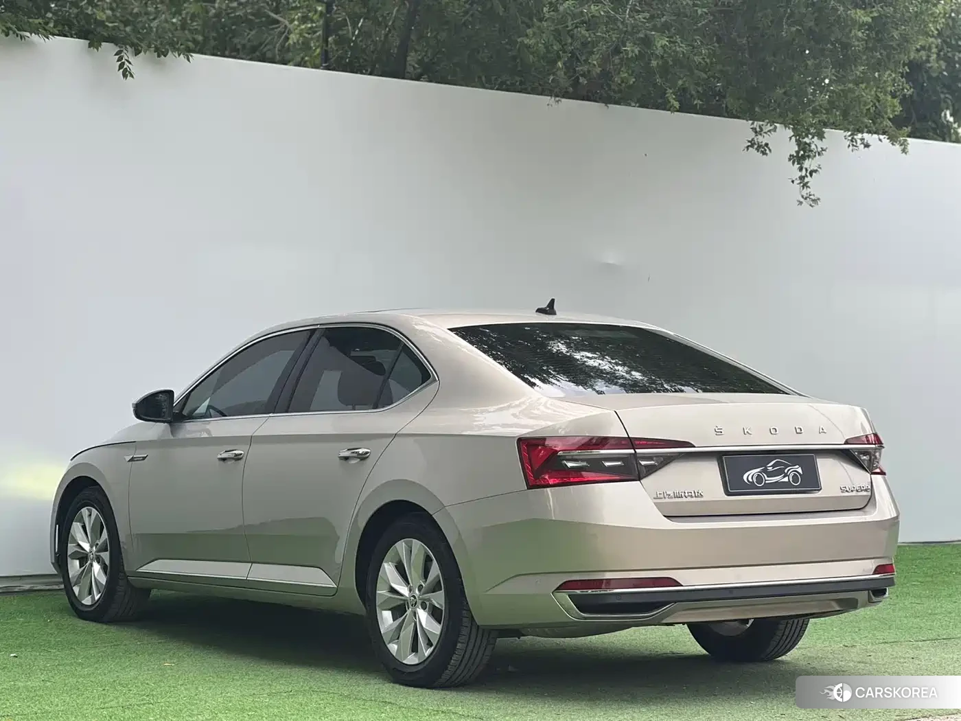 Skoda Speed pie 2022 Champagne/brown из Китая, фото 5