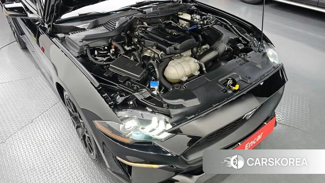 Ford Mustang id 4389792 из Кореи 25