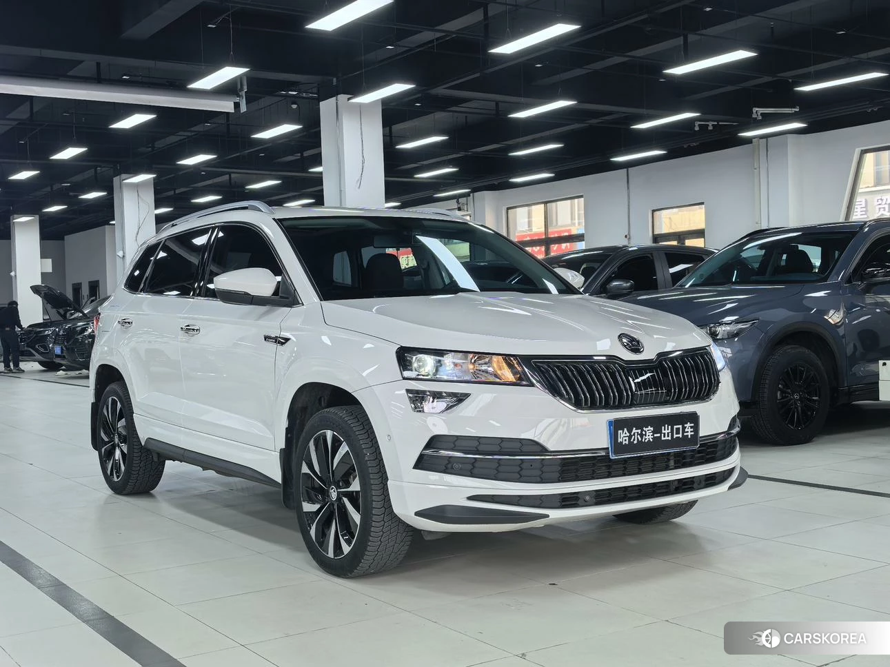 Skoda Krok id 4452155 из Китая 18
