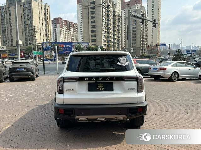 Haval Big dog 2021 Белый из Китая, фото 5