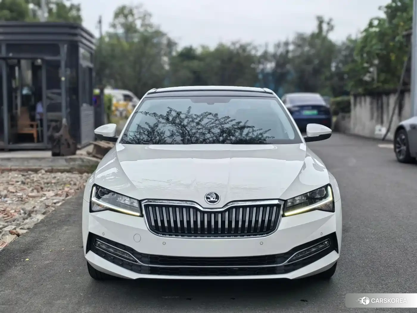 Skoda Speed pie id 4546086 из Китая 7