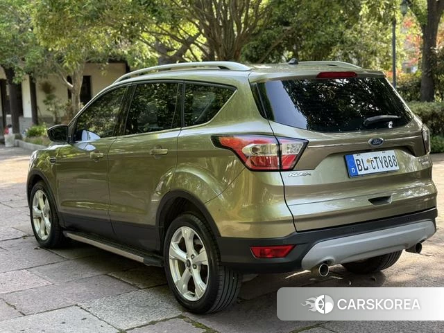 Ford Winged Tiger id 4210792 из Китая 9