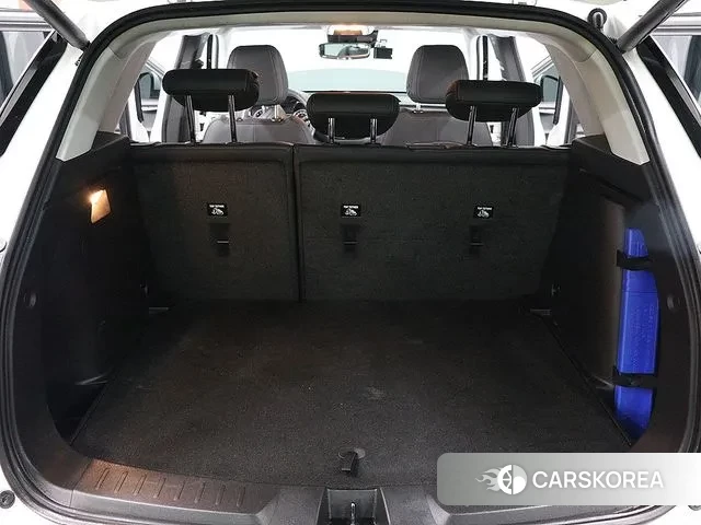 Chevrolet (GM Daewoo) Trailblazer id 3421736 из Кореи 15