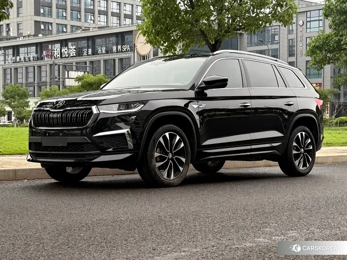 Skoda Kodiak id 4546072 из Китая 8