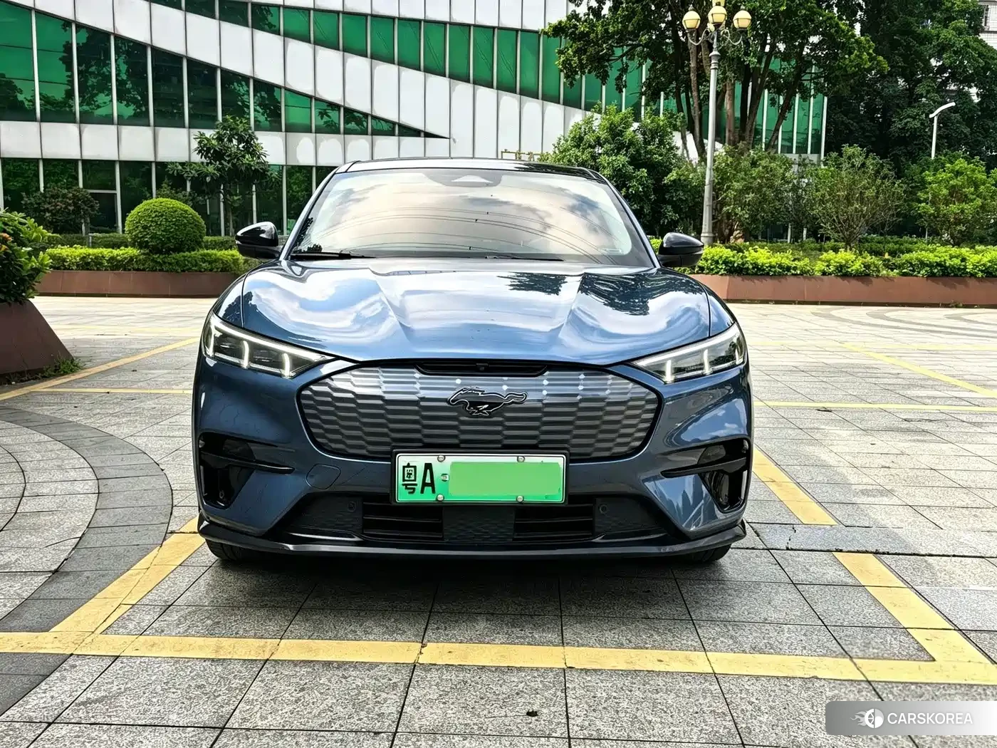 Ford Electric horse id 4686018 из Китая 12