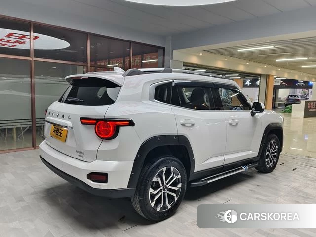Haval Big Dog PLUS 2023 Белый из Китая, фото 5