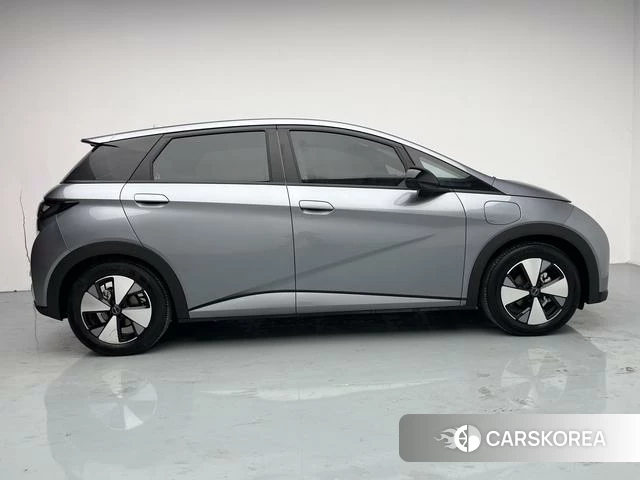 BYD dolphin id 4236414 из Китая 15