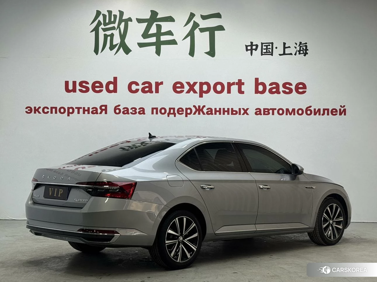 Skoda Speed pie id 4453120 из Китая 18