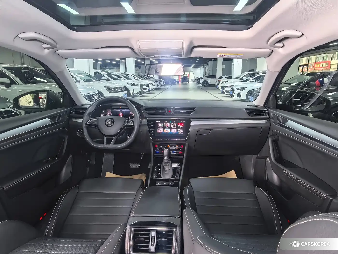 Skoda Speed pie id 4578277 из Китая 20