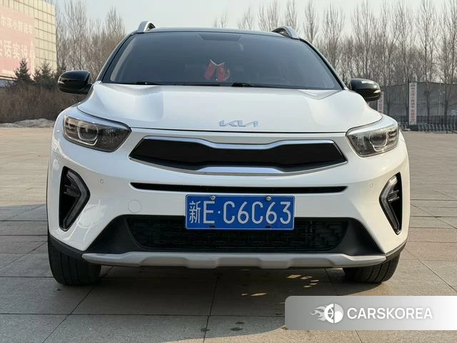 Kia Yi Ran id 4313558 из Китая 14