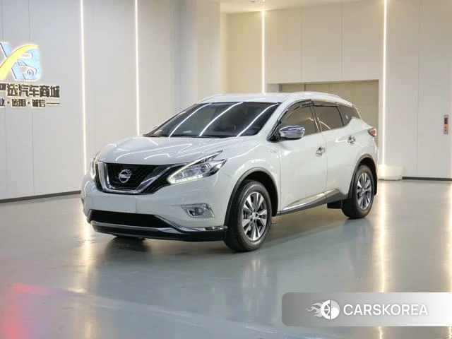 Nissan Loulan id 4221013 из Китая 12