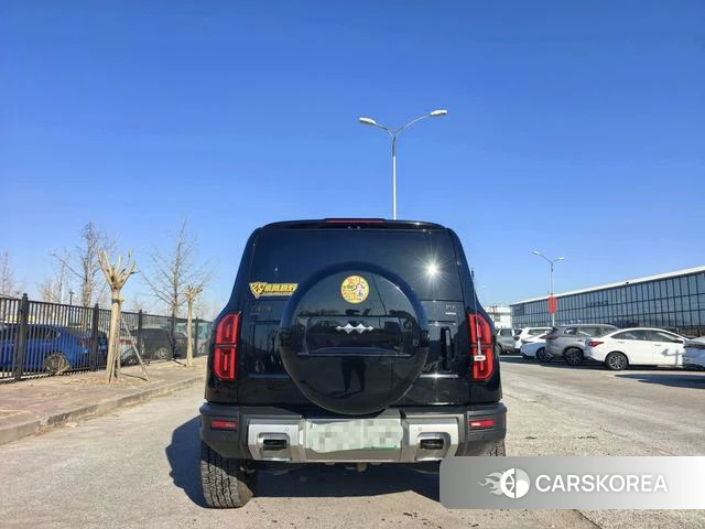 Leopard Leopard 5 id 3968657 из Китая 14