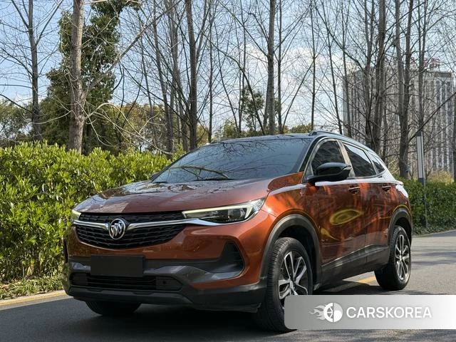 Buick Angkola 2020 Коричневый из Китая, фото 5