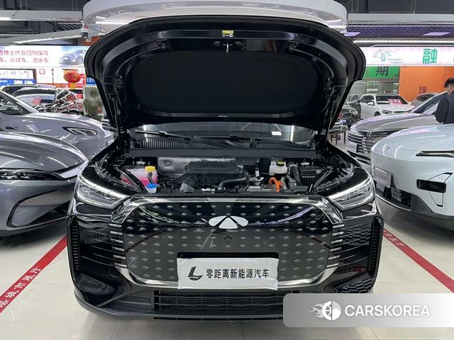 Chery Fengyun Fengyun T8 id 3957859 из Китая 13