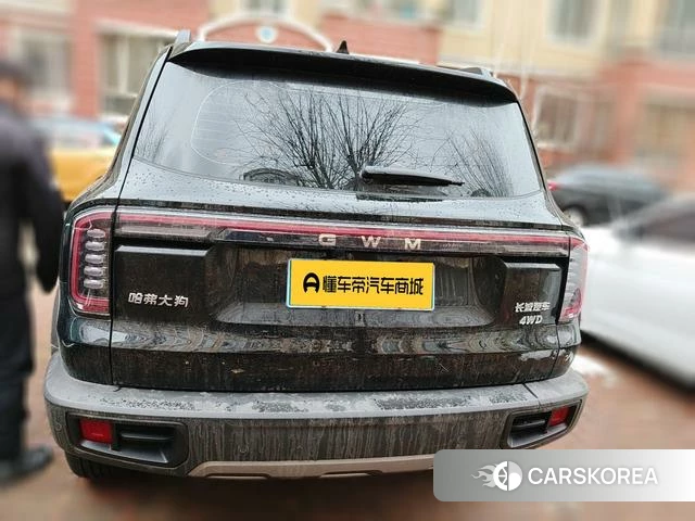 Haval Big dog 2025 Черный из Китая, фото 5