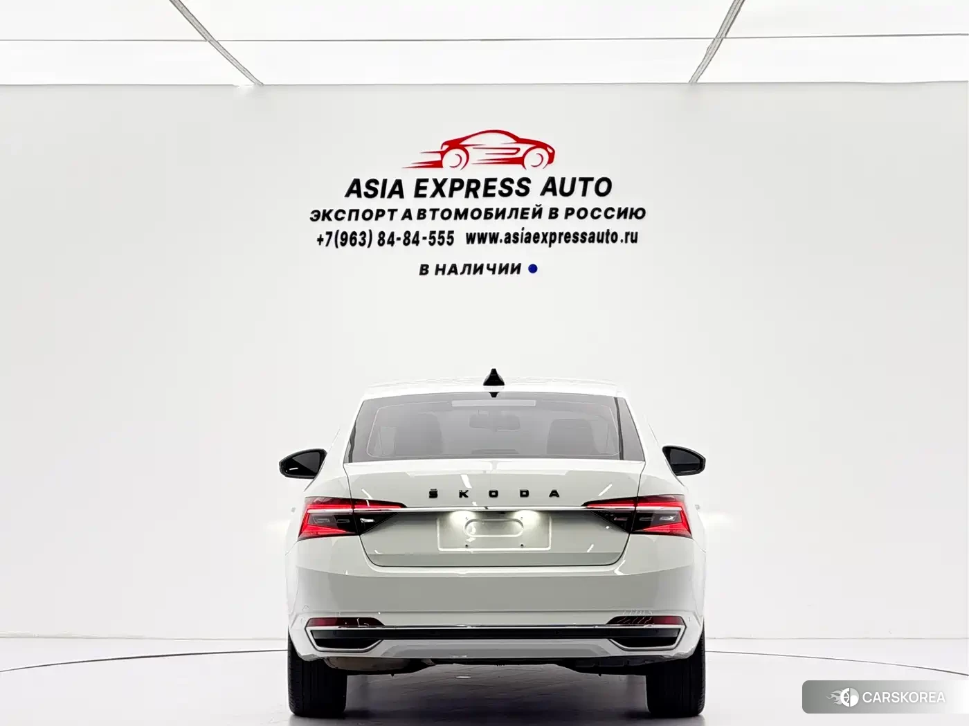 Skoda Speed pie id 4538816 из Китая 19