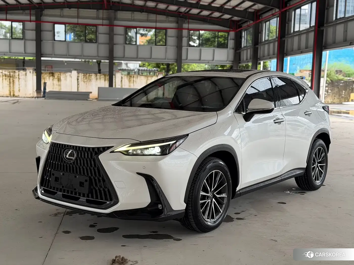 Lexus NX id 4622541 из Китая 9