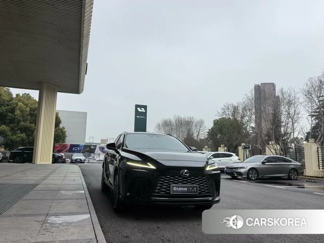 Lexus RX id 4221205 из Китая 12